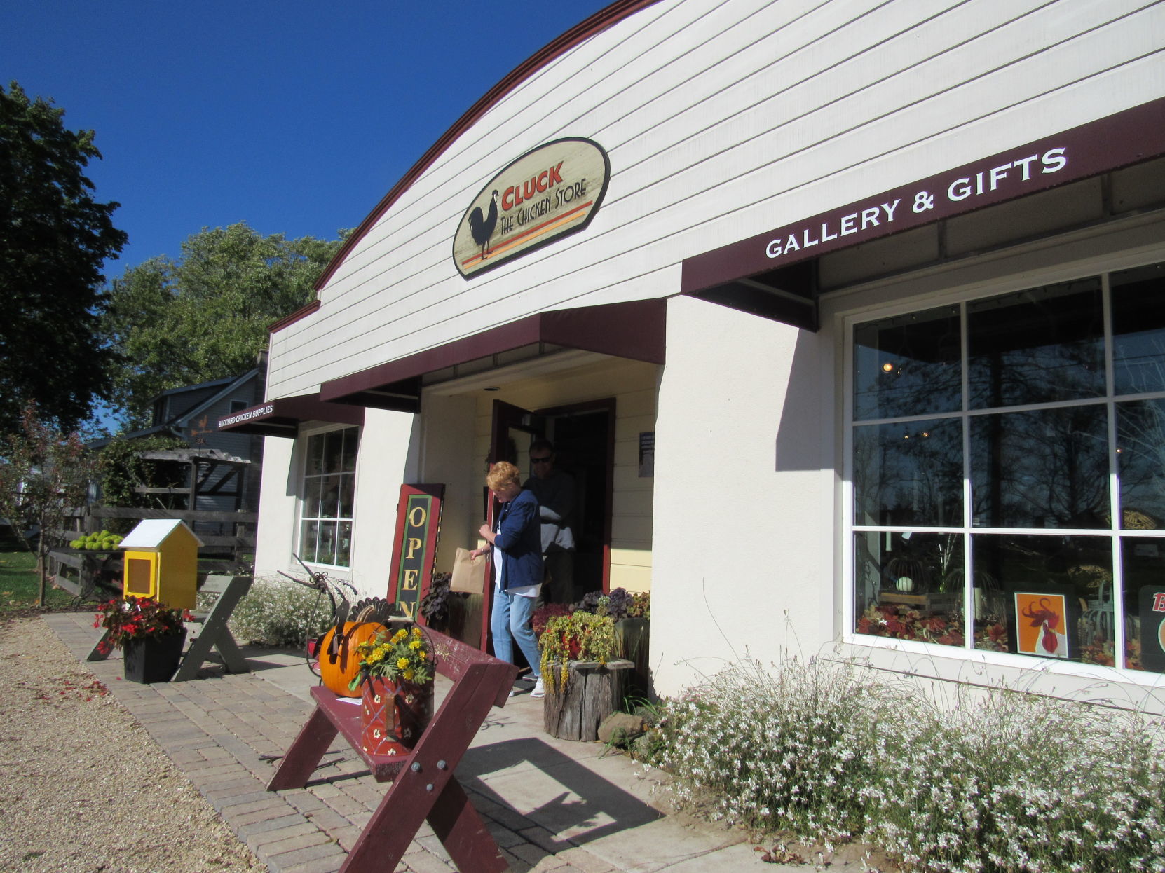 Cluck the Chicken Store